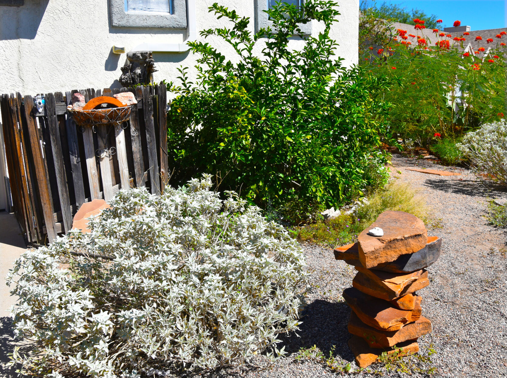 2023 Master Gardener Home Garden tour